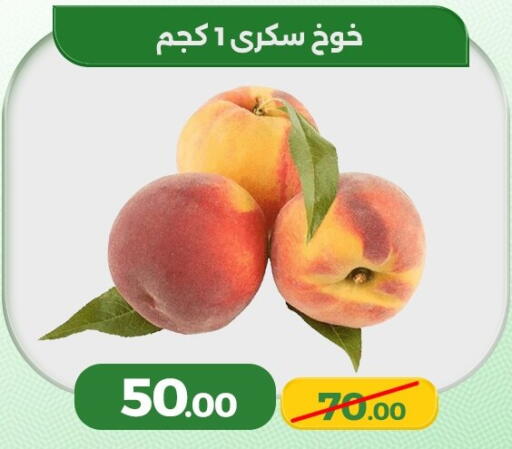 available at Green Tree Hypermarket - Sohag in Egypt - Cairo
