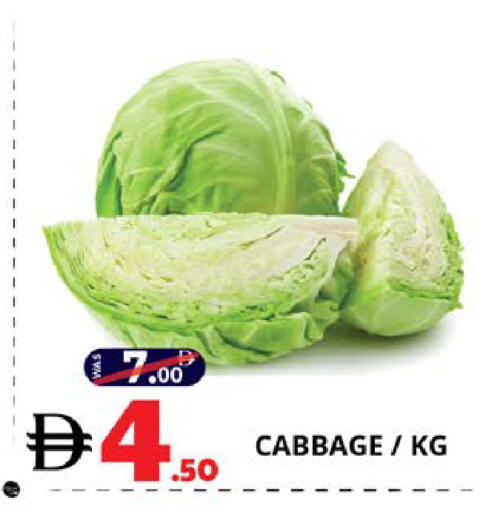 Cabbage available at اكسبرس المدينة هايبرماركت in الإمارات العربية المتحدة , الامارات - أبو ظبي