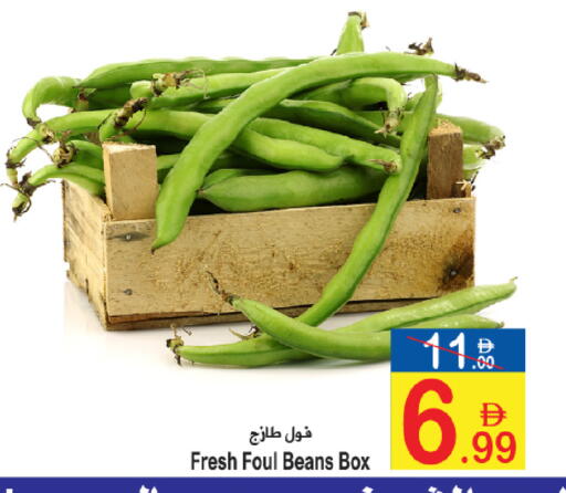 available at سن اند ساند هايبر ماركت ذ.م.م in الإمارات العربية المتحدة , الامارات - رَأْس ٱلْخَيْمَة