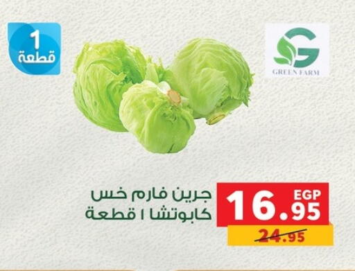 available at بنده in Egypt - القاهرة
