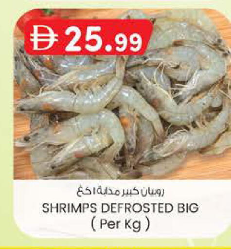 available at ك. الم. للتجارة in الإمارات العربية المتحدة , الامارات - دبي