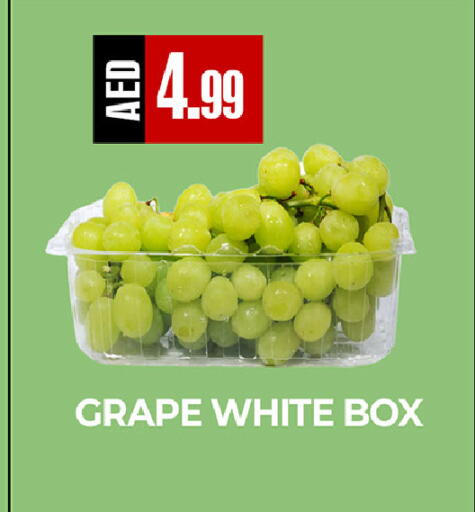 available at  RIVIERA SUPERMARKET L.L.C in UAE - Abu Dhabi