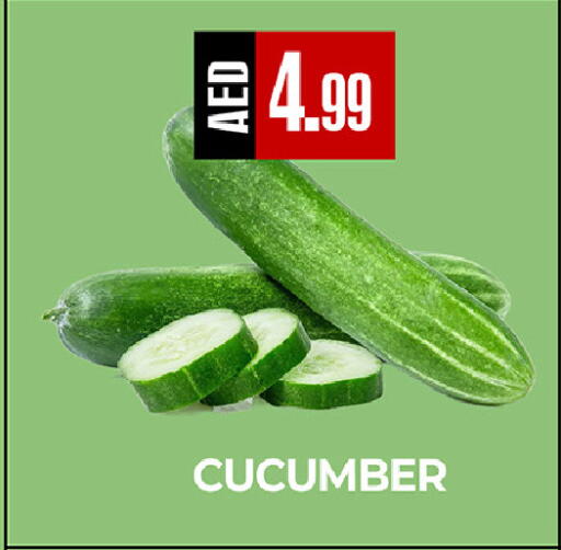 Cucumber available at  RIVIERA SUPERMARKET L.L.C in UAE - Abu Dhabi