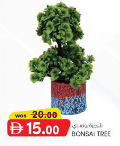 available at صفا اكسبريس سوبرماركت in الإمارات العربية المتحدة , الامارات - أبو ظبي