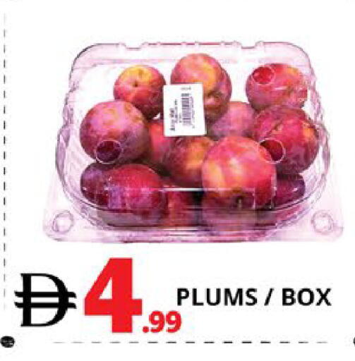 Plums available at اكسبرس المدينة هايبرماركت in الإمارات العربية المتحدة , الامارات - أبو ظبي