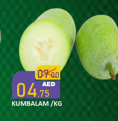 available at رويال جلف هايبرماركت in الإمارات العربية المتحدة , الامارات - أبو ظبي
