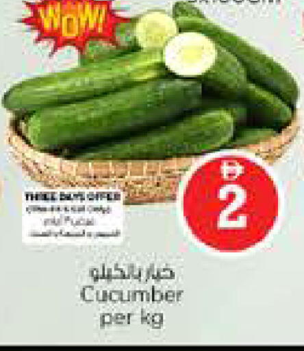 Cucumber available at نستو هايبرماركت in الإمارات العربية المتحدة , الامارات - الشارقة / عجمان