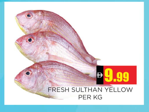 available at Ainas Al madina hypermarket in UAE - Sharjah / Ajman