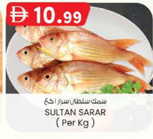 available at صفا هايبر in الإمارات العربية المتحدة , الامارات - ٱلْعَيْن‎