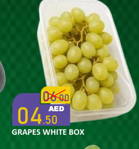 Grapes available at رويال جلف هايبرماركت in الإمارات العربية المتحدة , الامارات - أبو ظبي