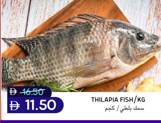 available at سيليكت ماركت in الإمارات العربية المتحدة , الامارات - أبو ظبي