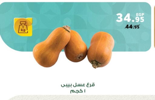 available at Panda  in Egypt - Cairo