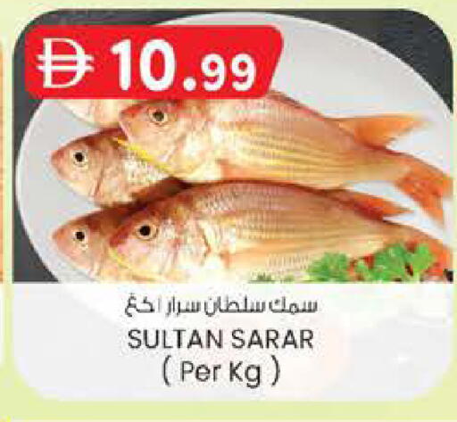 available at ك. إم. هايبرماركت in الإمارات العربية المتحدة , الامارات - ٱلْعَيْن‎