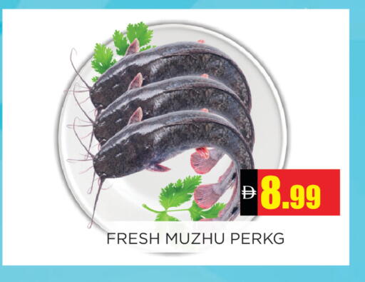 available at Ainas Al madina hypermarket in UAE - Sharjah / Ajman
