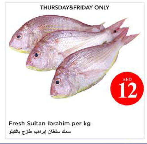available at نستو هايبرماركت in الإمارات العربية المتحدة , الامارات - الشارقة / عجمان