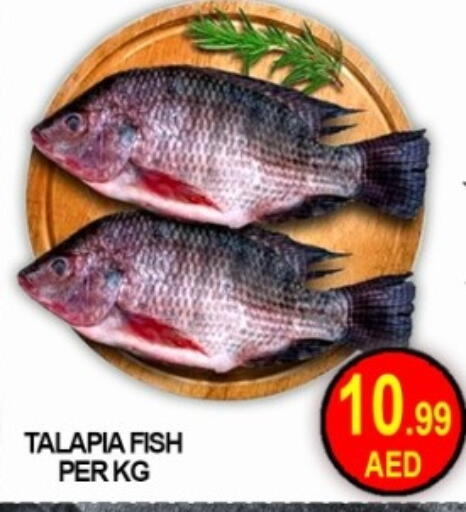 available at جرين جيفت متجر أقسام in الإمارات العربية المتحدة , الامارات - دبي