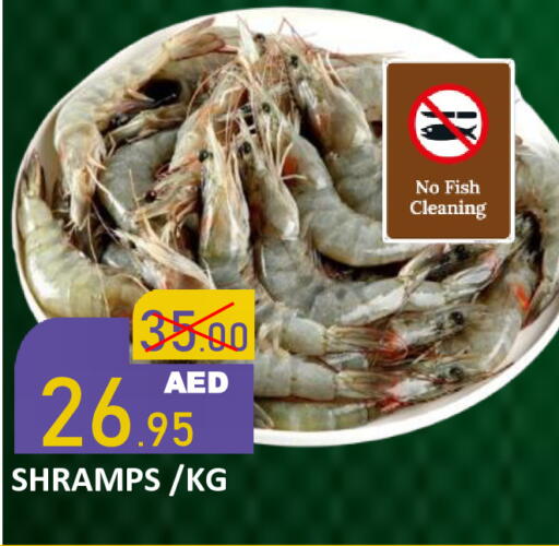 available at رويال جلف هايبرماركت in الإمارات العربية المتحدة , الامارات - أبو ظبي
