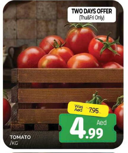 Tomato available at المدينة in الإمارات العربية المتحدة , الامارات - الشارقة / عجمان