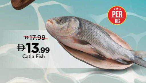 available at مارك & سيف in الإمارات العربية المتحدة , الامارات - الشارقة / عجمان