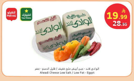 available at Al Raya in KSA, Saudi Arabia, Saudi - Najran