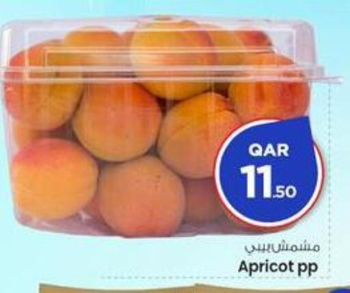 Apricot available at Mark & Save  in Qatar - Doha