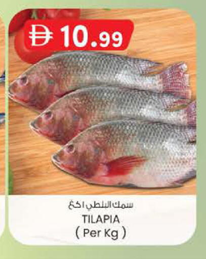 available at Safa Express Supermarket in UAE - Abu Dhabi