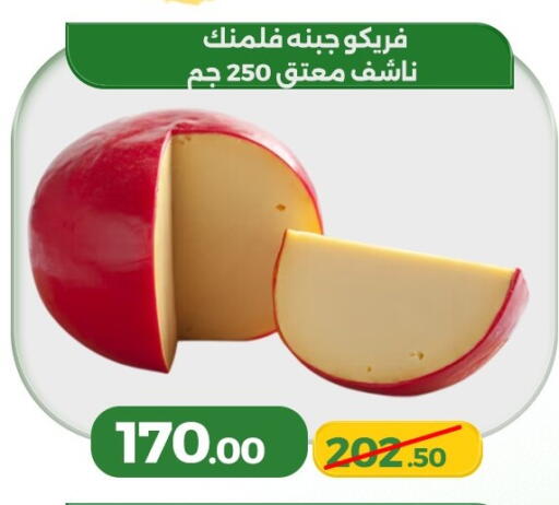 available at Green Tree Hypermarket - Sohag in Egypt - Cairo