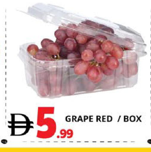 available at اكسبرس المدينة هايبرماركت in الإمارات العربية المتحدة , الامارات - أبو ظبي