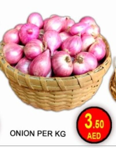 Onion available at جرين جيفت متجر أقسام in الإمارات العربية المتحدة , الامارات - دبي