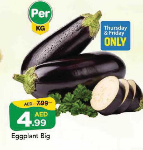 Eggplant available at مارك & سيف in الإمارات العربية المتحدة , الامارات - أبو ظبي