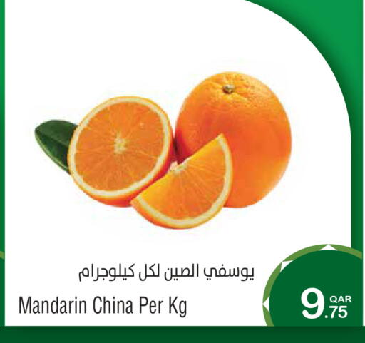 Mandarin from China available at Megamart in Qatar - Al Shamal