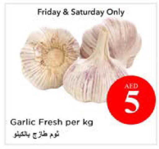 Garlic available at نستو هايبرماركت in الإمارات العربية المتحدة , الامارات - أبو ظبي