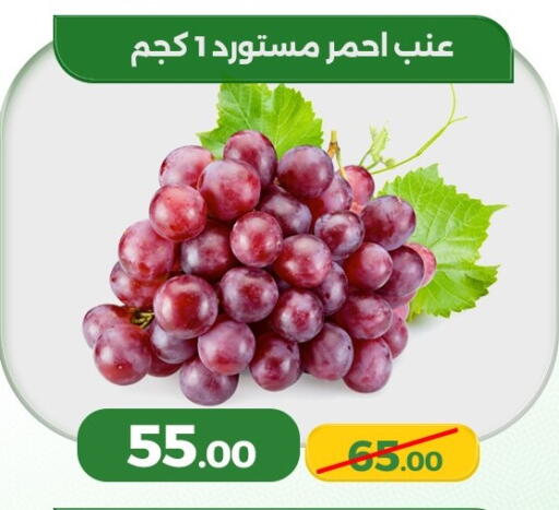 available at Green Tree Hypermarket - Sohag in Egypt - Cairo