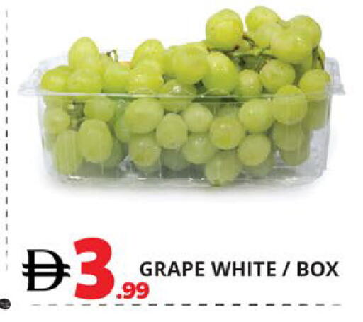 available at اكسبرس المدينة هايبرماركت in الإمارات العربية المتحدة , الامارات - أبو ظبي