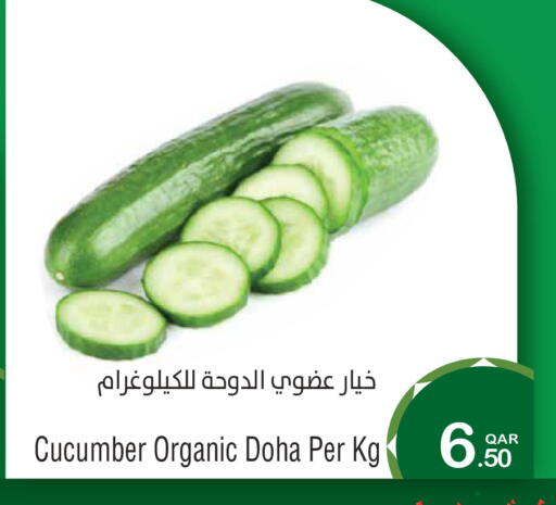 Cucumber from Qatar available at Megamart in Qatar - Al Shamal