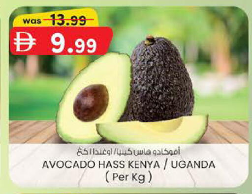 Avocado from Kenya Uganda available at صفا اكسبريس سوبرماركت in الإمارات العربية المتحدة , الامارات - ٱلْعَيْن‎