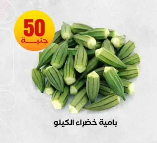 available at المحلاوي ستورز in Egypt - القاهرة