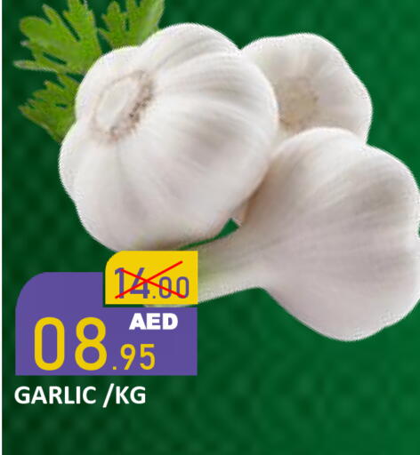 Garlic available at رويال جلف هايبرماركت in الإمارات العربية المتحدة , الامارات - أبو ظبي