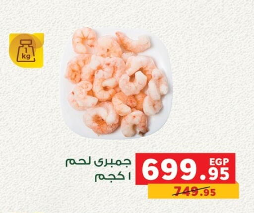 available at بنده in Egypt - القاهرة