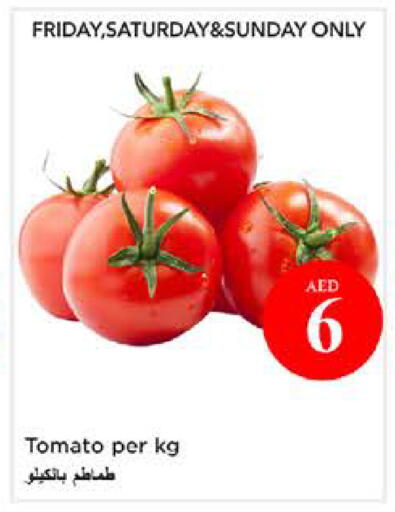 Tomato available at نستو هايبرماركت in الإمارات العربية المتحدة , الامارات - الشارقة / عجمان