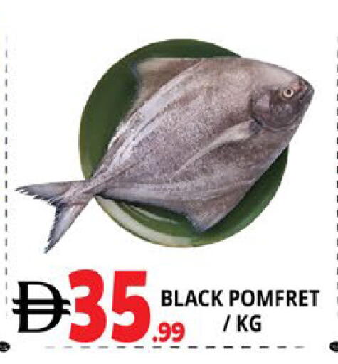 available at اكسبرس المدينة هايبرماركت in الإمارات العربية المتحدة , الامارات - أبو ظبي