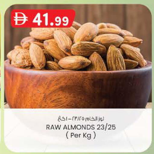available at ك. الم. للتجارة in الإمارات العربية المتحدة , الامارات - أبو ظبي