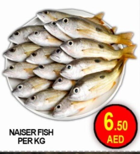 available at جرين جيفت متجر أقسام in الإمارات العربية المتحدة , الامارات - دبي