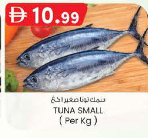 available at صفا هايبر in الإمارات العربية المتحدة , الامارات - ٱلْعَيْن‎