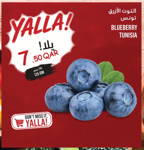 Blueberry BlueBerry from Tunisia available at مونوبريكس in قطر - الدوحة