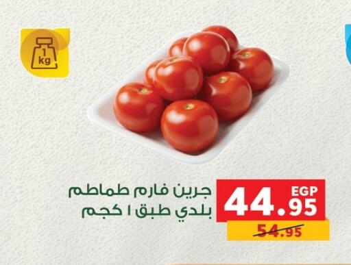 available at Panda  in Egypt - Cairo