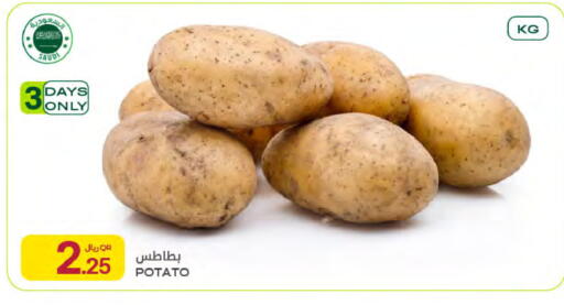 Potato available at Al Meera in Qatar - Al Wakra
