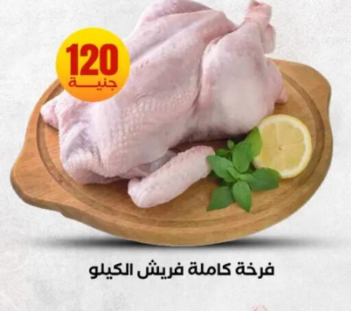 available at المحلاوي ستورز in Egypt - القاهرة