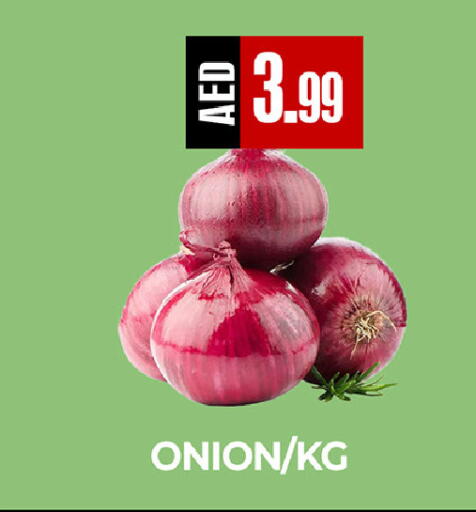 Onion available at  RIVIERA SUPERMARKET L.L.C in UAE - Abu Dhabi