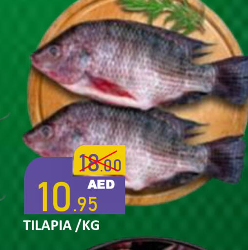 available at رويال جلف هايبرماركت in الإمارات العربية المتحدة , الامارات - أبو ظبي